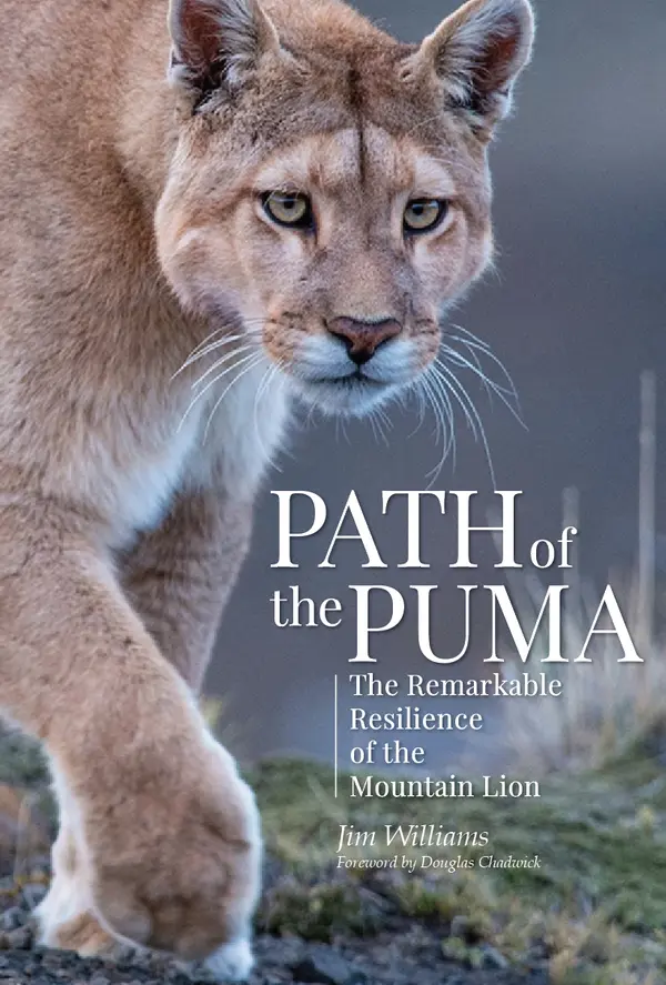 Path of the Puma by Jim Williams, Douglas Chadwick cover
