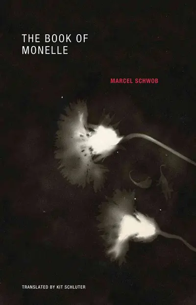 The Book of Monelle book cover