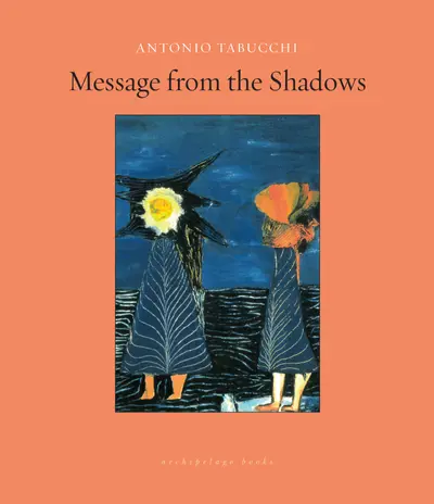 Message from the Shadows book cover
