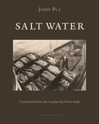 Salt Water book cover
