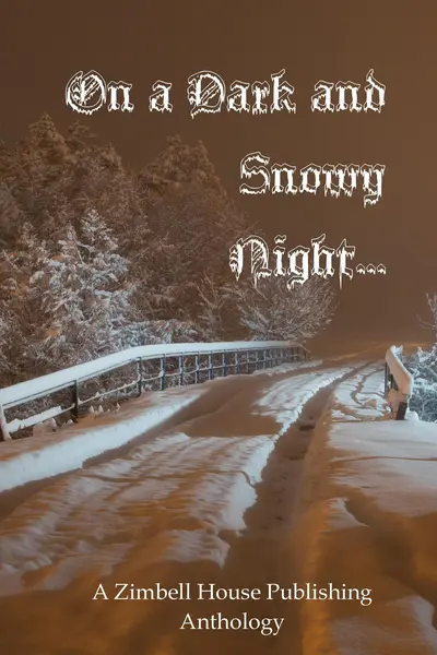 On a Dark and Snowy Night ... book cover