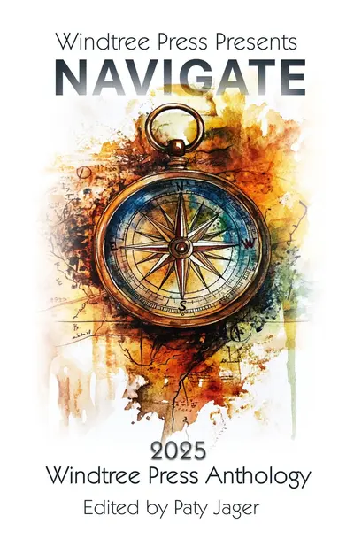 Navigate book cover