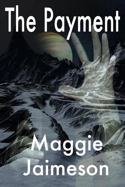 The Payment book cover