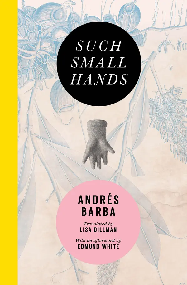 Such Small Hands by Andrés Barba, Lisa Dillman, Edmund White cover