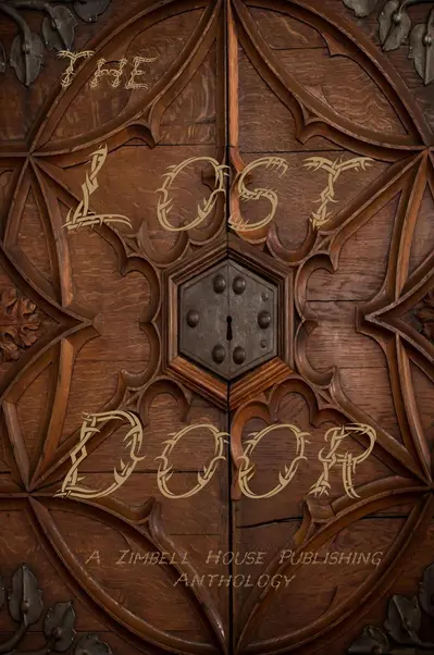 The Lost Door book cover
