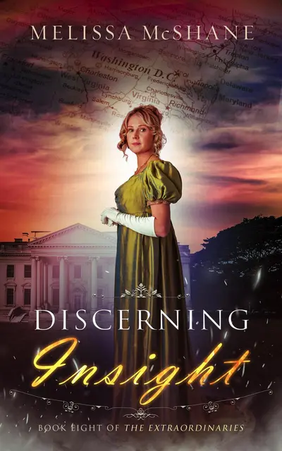 Discerning Insight book cover