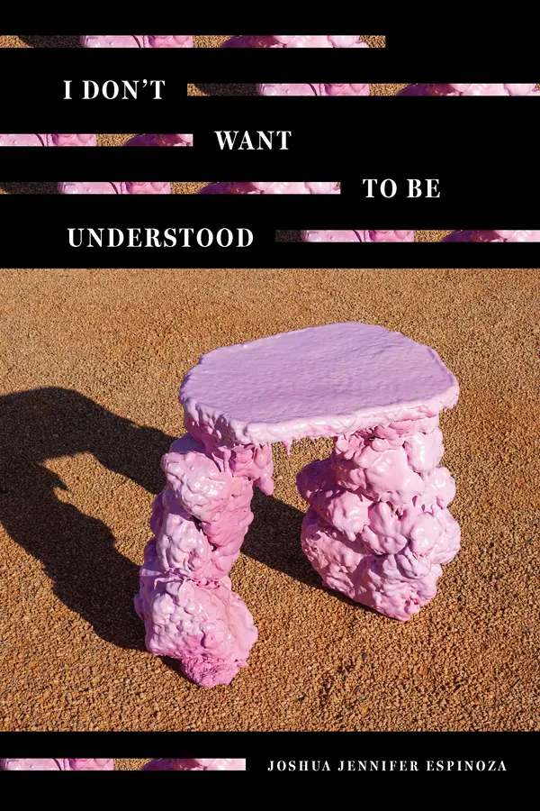 I Don't Want To Be Understood by Joshua Jennifer Espinoza cover