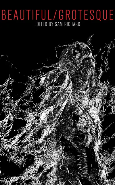 Beautiful/Grotesque book cover