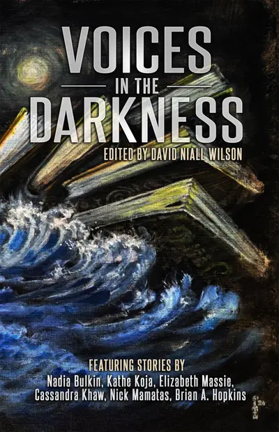 Voices in the Darkness book cover