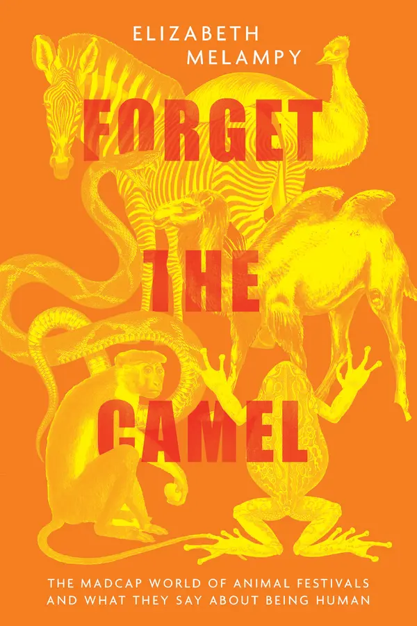 Forget the Camel by Elizabeth MeLampy cover