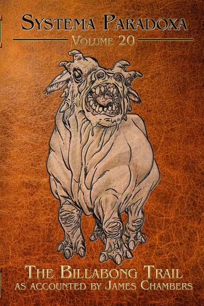 The Billabong Trail book cover