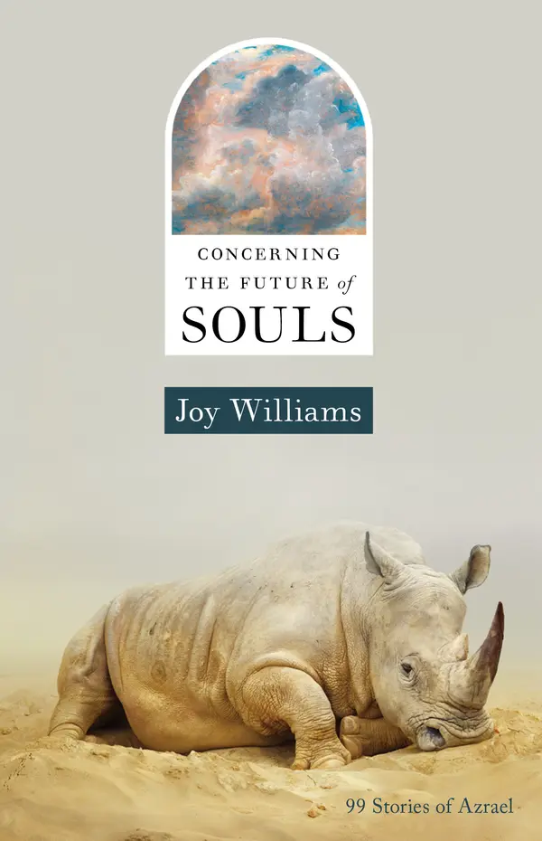 Concerning the Future of Souls by Joy Williams cover