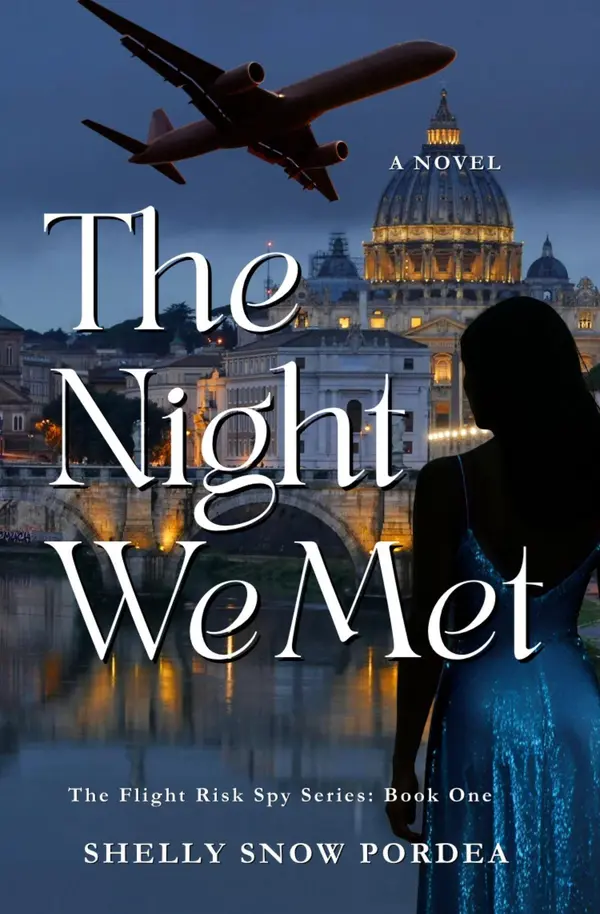 The Night We Met by Shelly Snow Pordea cover