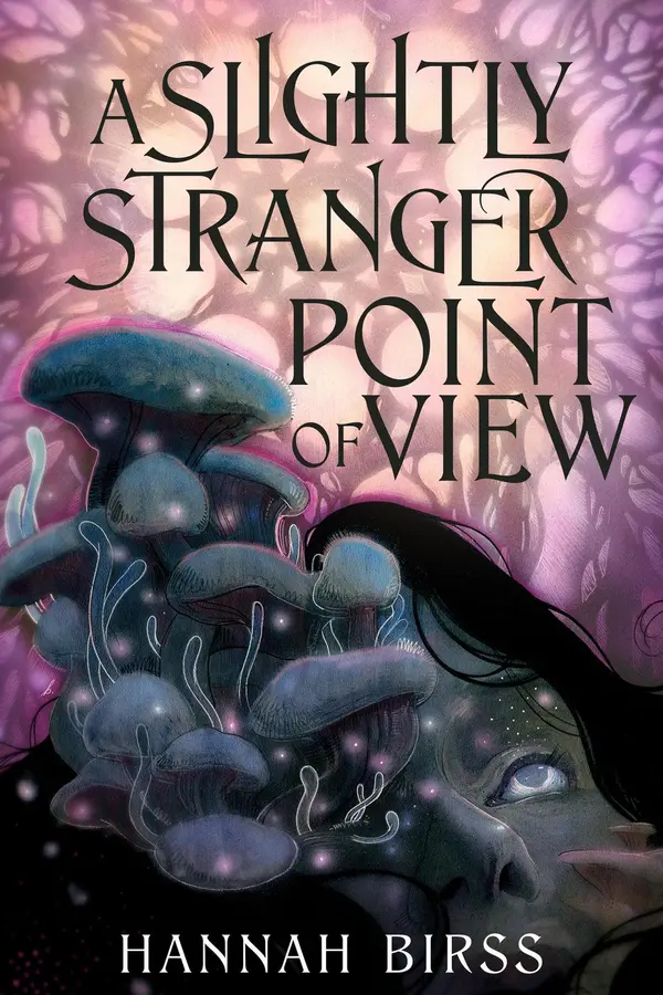 A Slightly Stranger Point of View by Hannah Birss cover