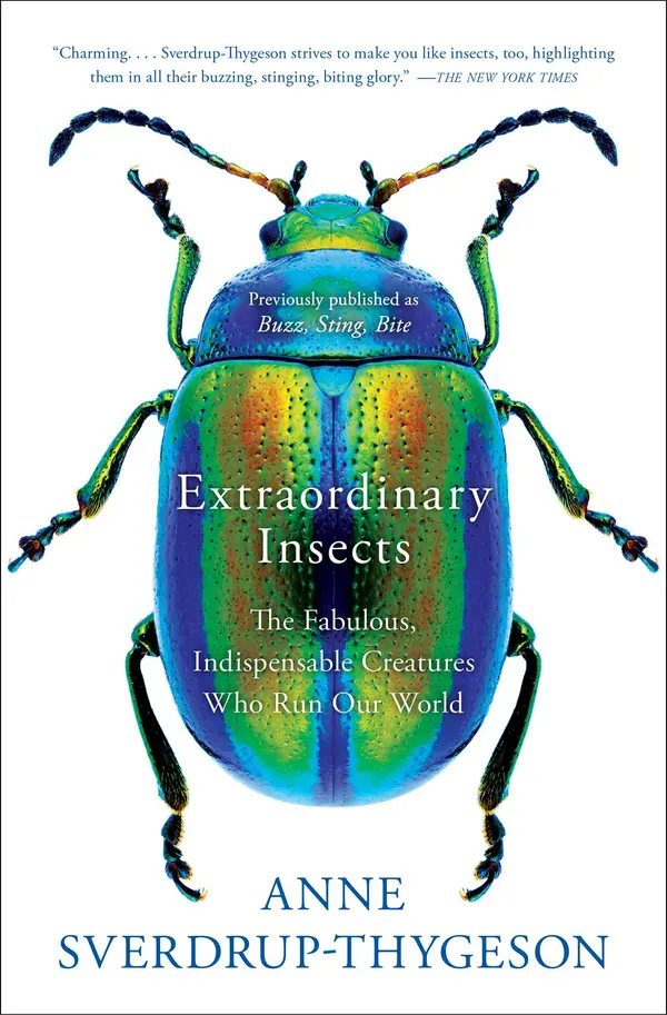 Extraordinary Insects by Anne Sverdrup-Thygeson cover