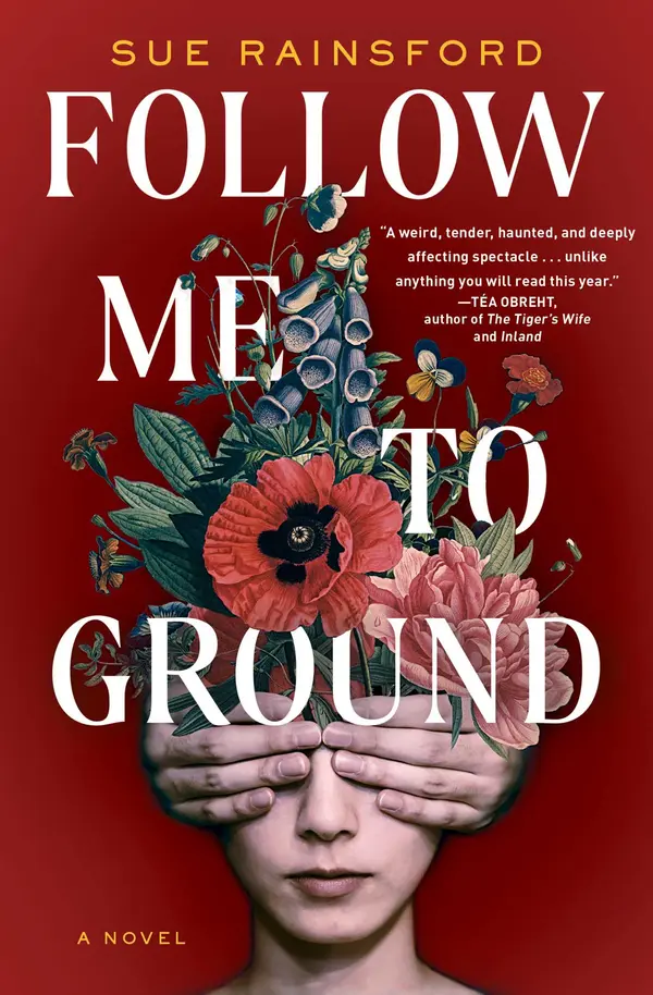 Follow Me to Ground by Sue Rainsford cover