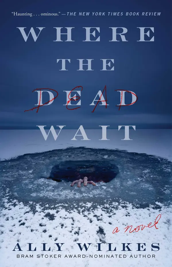 Where the Dead Wait by Ally Wilkes cover