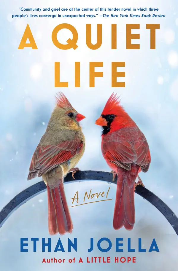 A Quiet Life by Ethan Joella cover