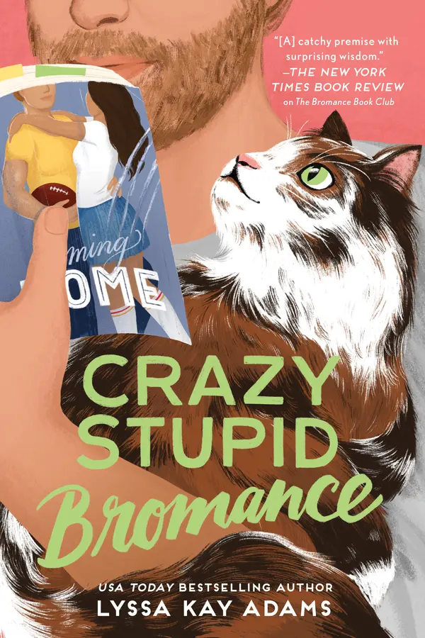 Crazy Stupid Bromance by Lyssa Kay Adams cover