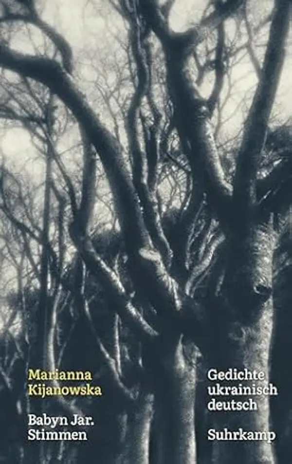 Babyn Jar. Stimmen by unknown author cover