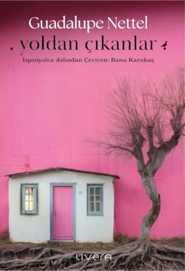 Yoldan Çıkanlar by Guadalupe Nettel cover