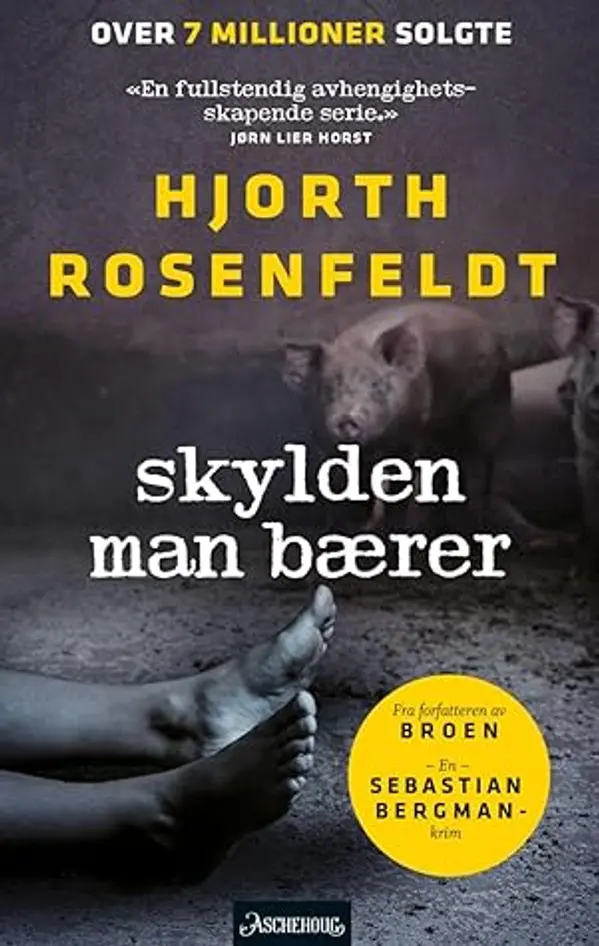Skylden man bærer (Sebastian Bergman #8) by Michael Hjorth cover