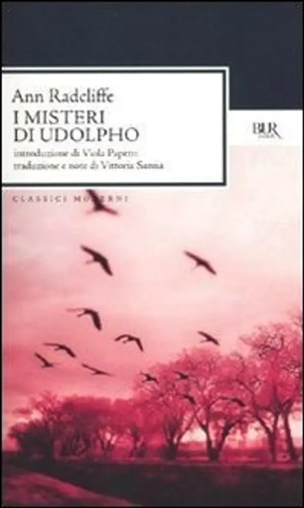 I misteri di Udolpho by Ann Radcliffe cover