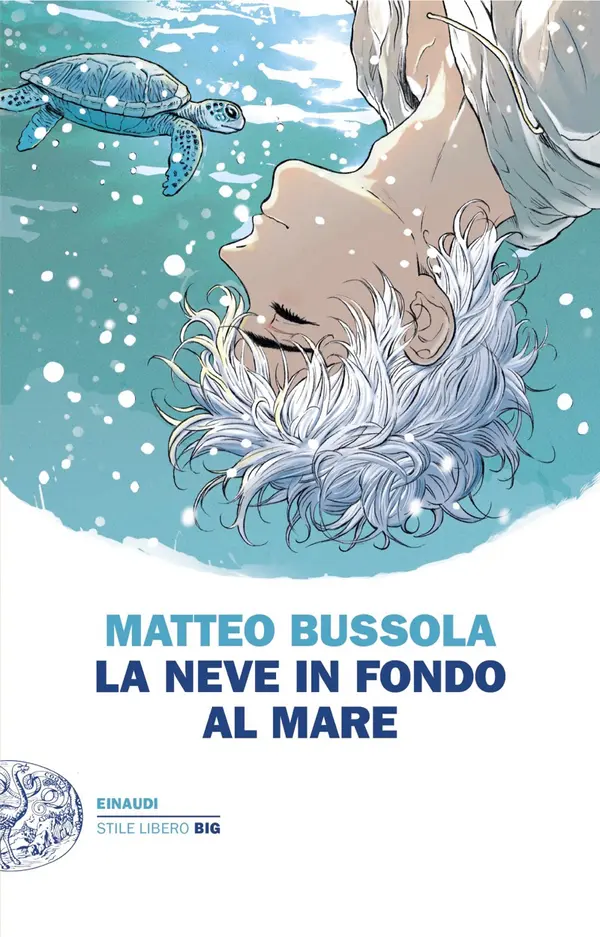 La neve in fondo al mare by Matteo Bussola cover