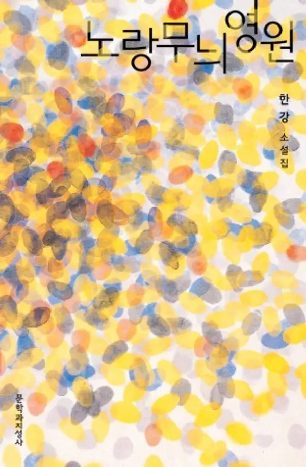 노랑무늬영원 by Han Kang cover
