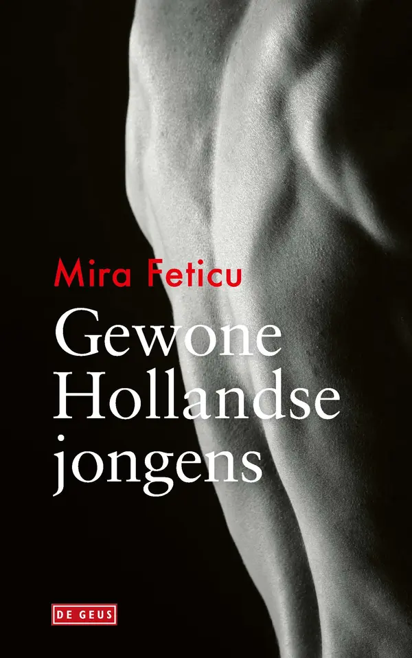 Gewone Hollandse jongens by Mira Feticu cover