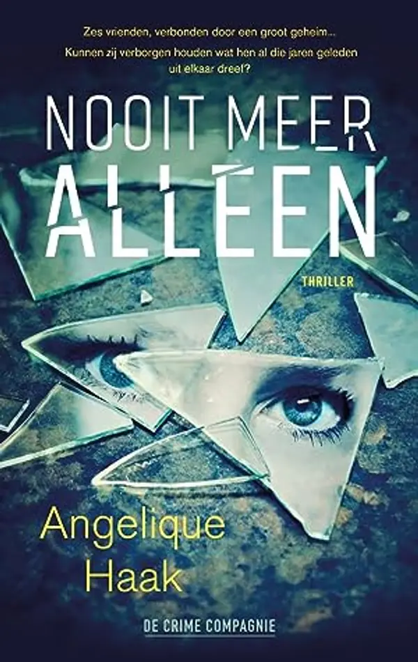 Nooit meer alleen by Angelique Haak cover