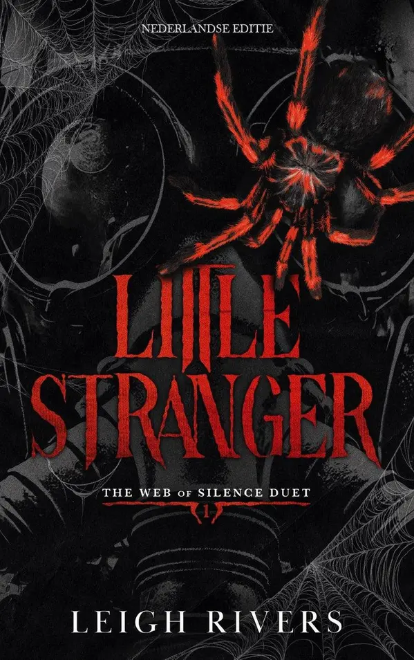 Little Stranger by Leigh Rivers cover