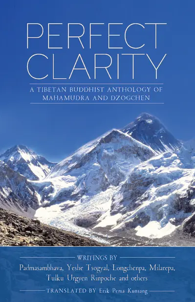 Perfect Clarity book cover