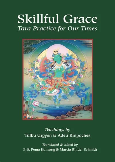 Skillful Grace book cover