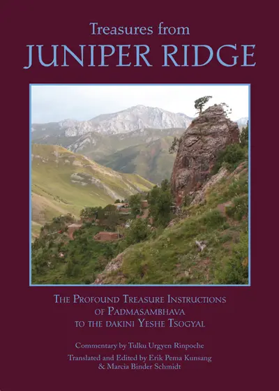 Treasures from Juniper Ridge book cover