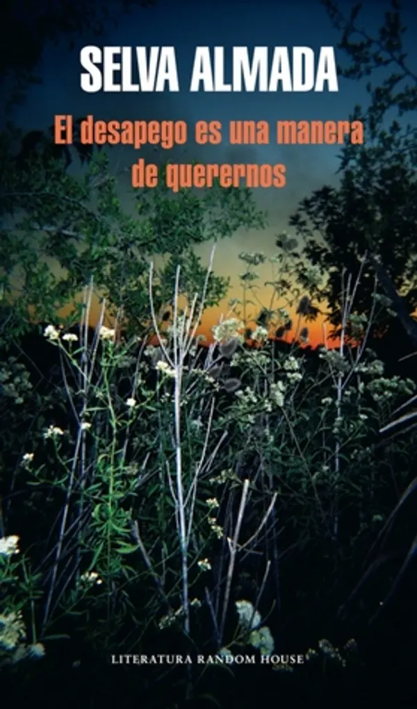 El desapego es una manera de querernos by Selva Almada cover