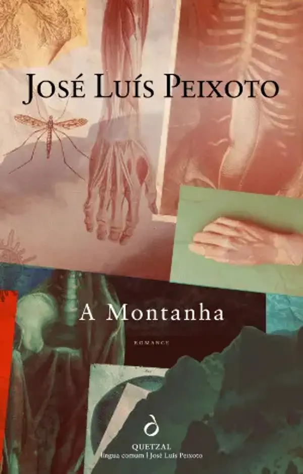 A Montanha by José Luís Peixoto cover