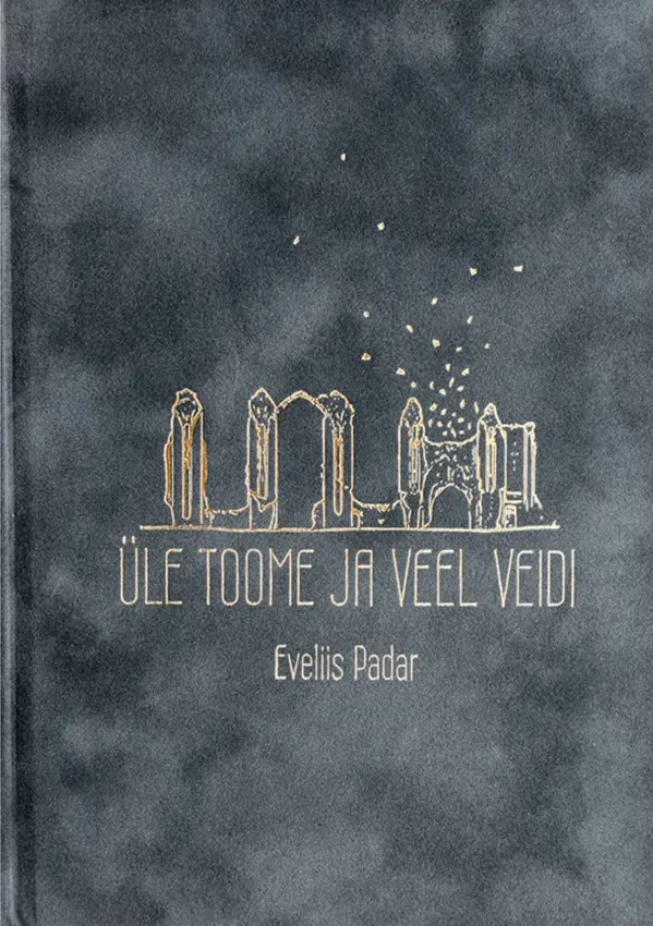 Üle Toome ja veel veidi by Eveliis Padar cover