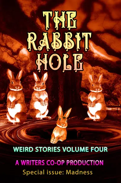 The Rabbit Hole book cover