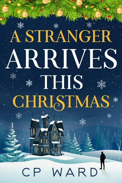 A Stranger Arrives This Christmas book cover