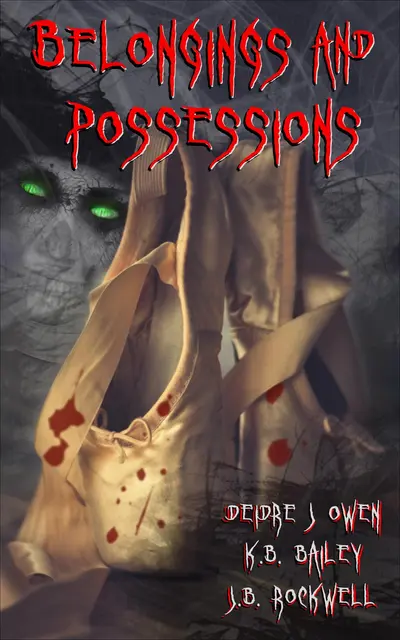Belongings and Possessions book cover