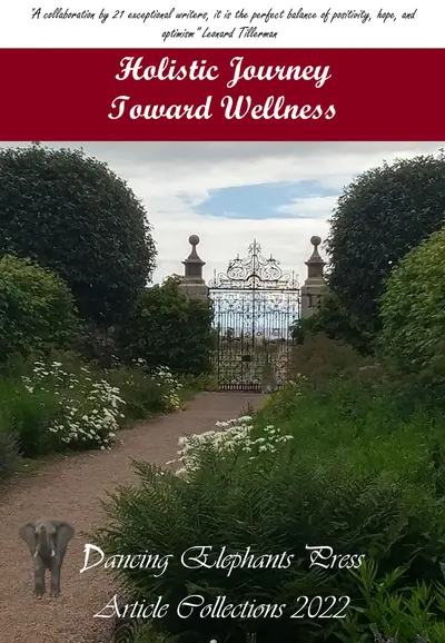 Holistic Journey Toward Wellness book cover
