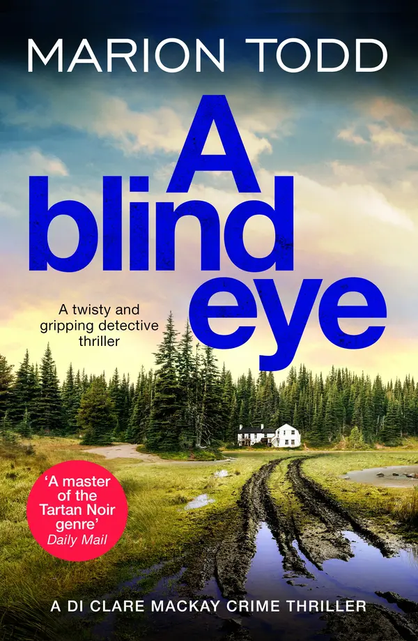 A Blind Eye by Marion Todd cover