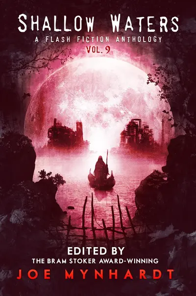 Shallow Waters Vol.9 book cover