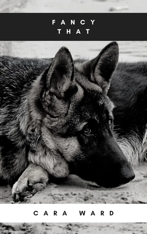 Fancy That by Cara Ward cover