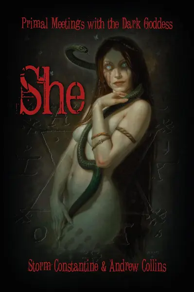 She book cover
