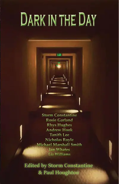 Dark In The Day book cover