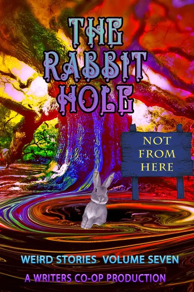 The Rabbit Hole VII: Not From Here book cover