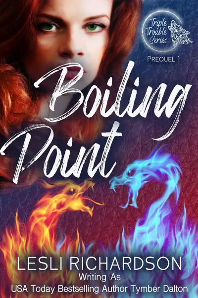Boiling Point book cover