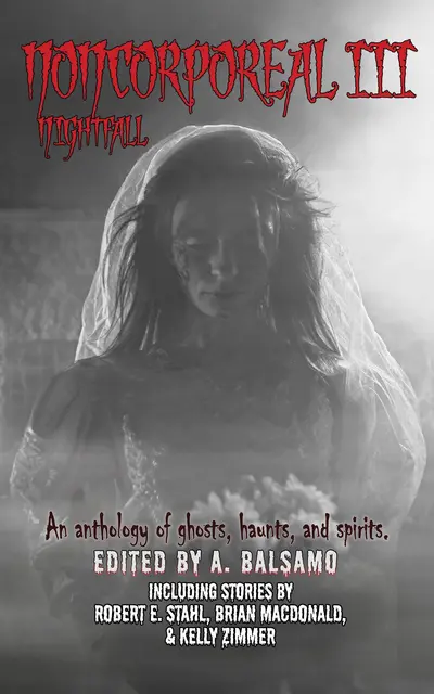 Noncorporeal III: Nightfall book cover